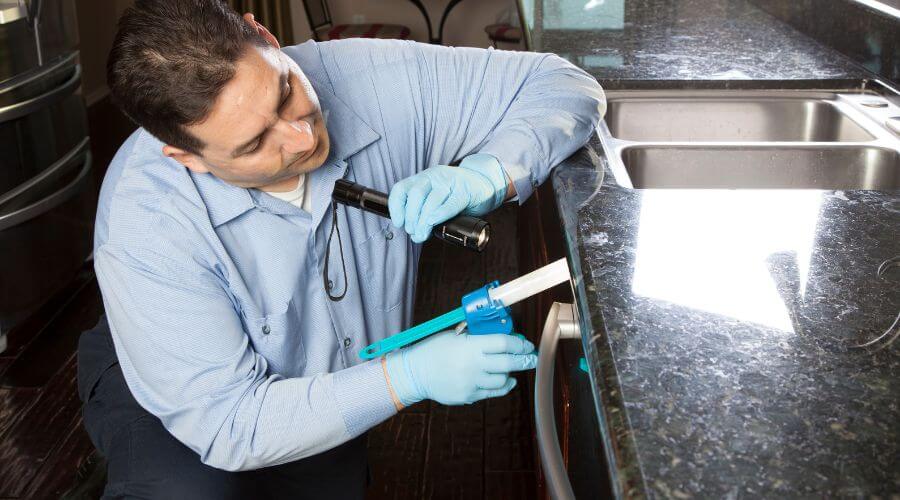 Professional bed bug inspection services in Prosper - Bed Bug Inspection Prosper