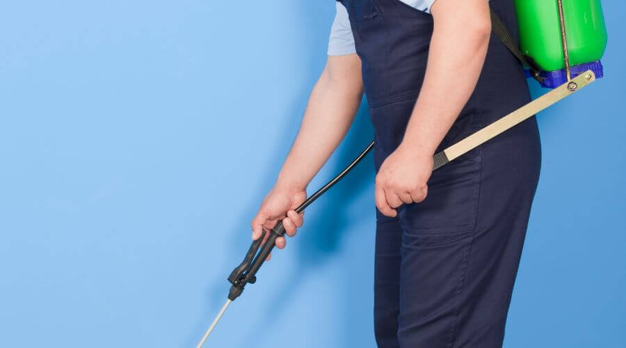 Why choose Bed Bug Inspection Prosper for bed bug inspection in Prosper